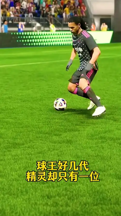 赖斯