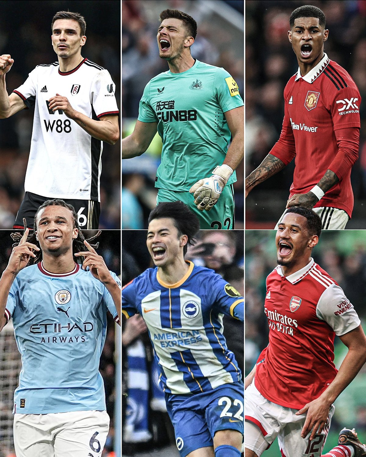 轻一代的羽 轻一代的羽