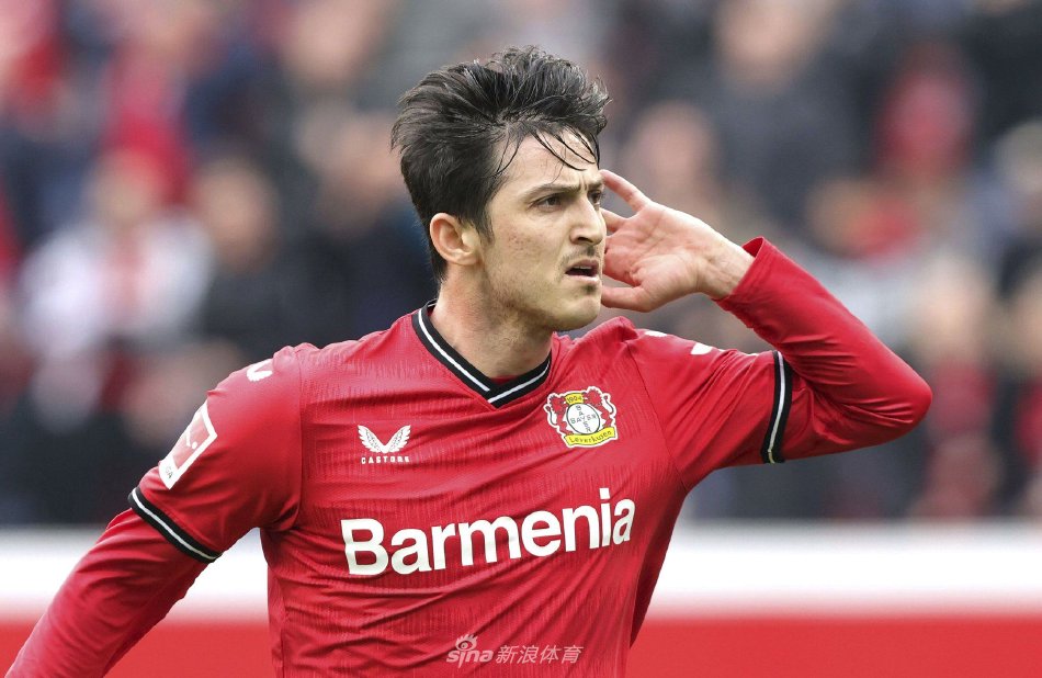 无疑显得不 无疑显得不